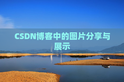 CSDN博客中的图片分享与展示